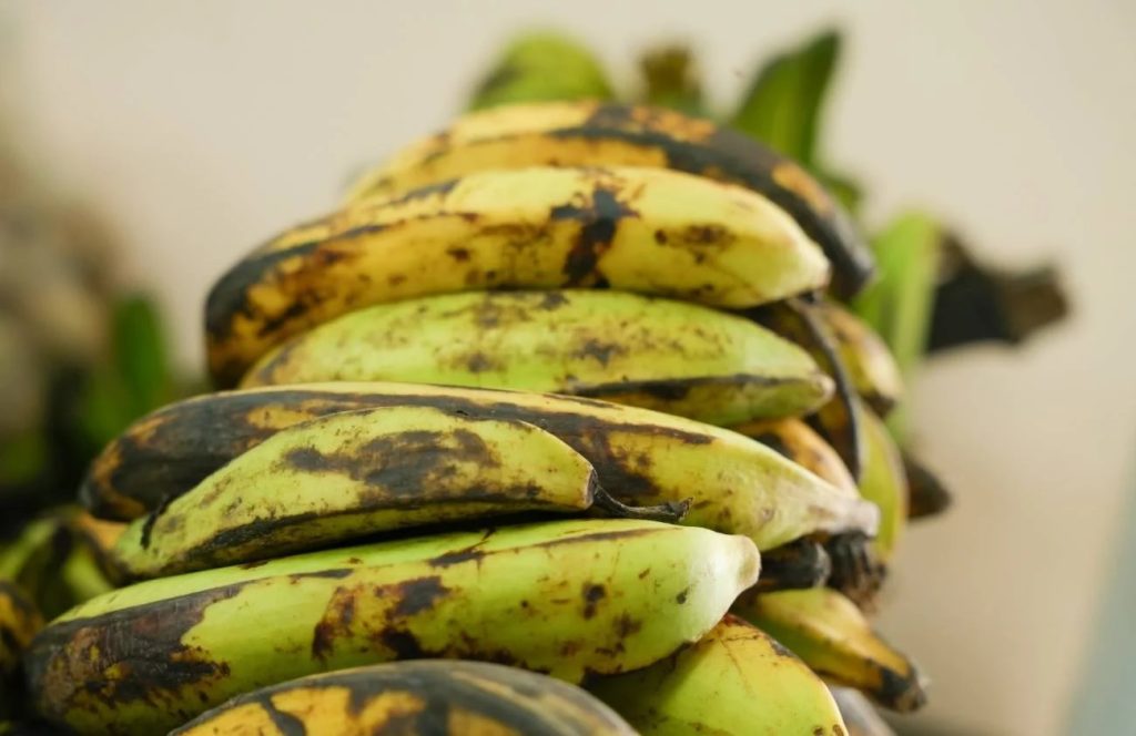 Canasta alimentaria de junio se ubicó en 756,45 dólares, sin incluir gastos en agua potable