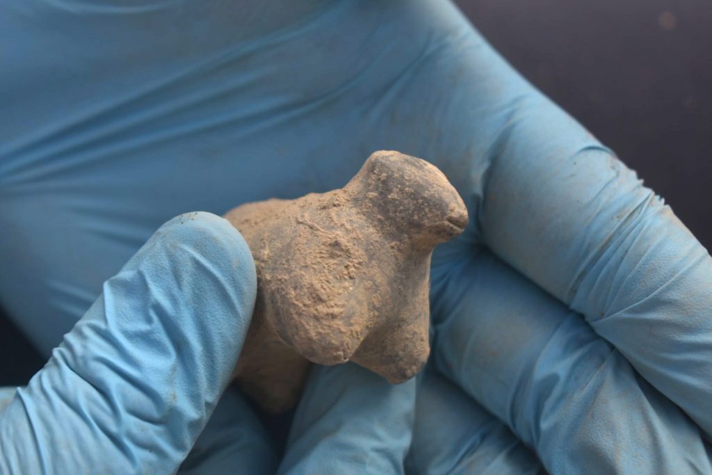 Hallan estatuillas para ritos de fertilidad y protección en fortaleza preincaica en Perú