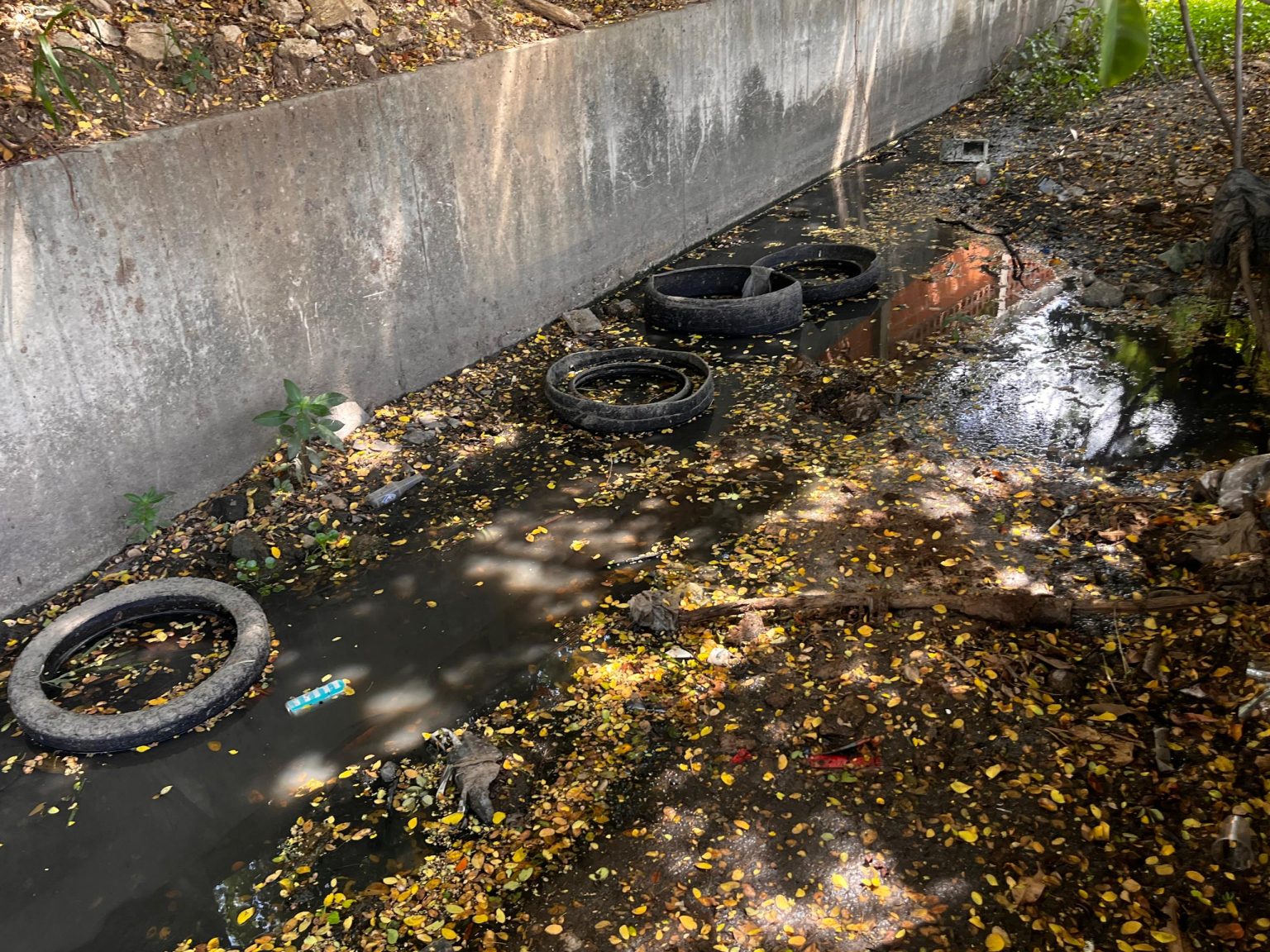 Los Caobos canal