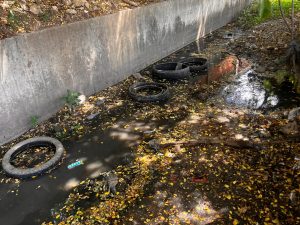 Los Caobos canal