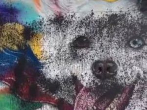 Denuncian vandalización de mural en homenaje a "Tsunami"