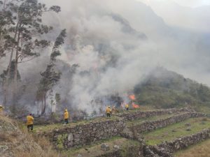 Incendio forestal en Machu Picchu afecta 1,5 hectáreas de bosque primario desde el lunes