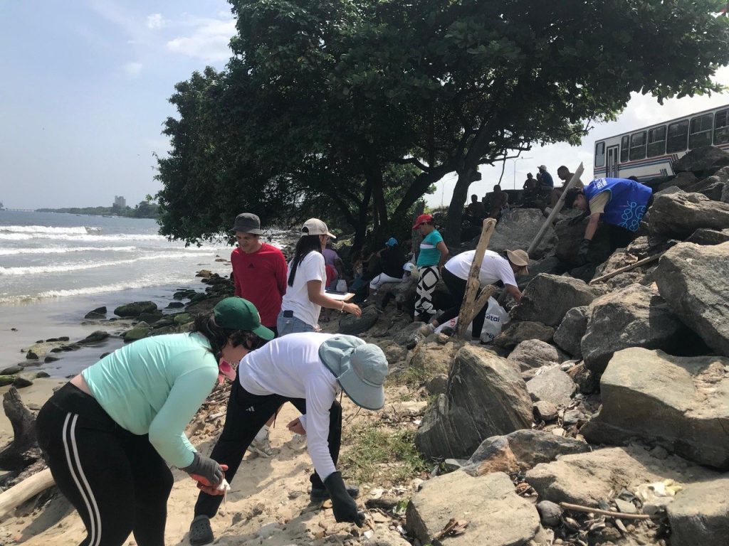 Desechos plásticos protagonizaron jornada de limpieza en playa El Palito